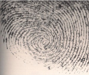 FINGERPRINT