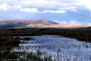 Wigtown1-1 web