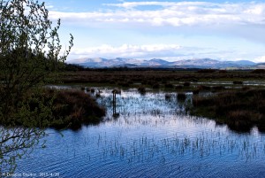 Wigtown2-1web