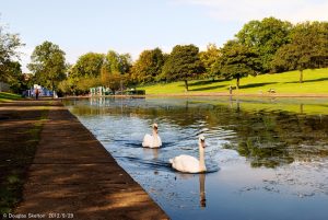 Alexandra Park-1 web