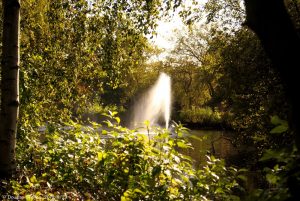 Alexandra Park 3-1 web